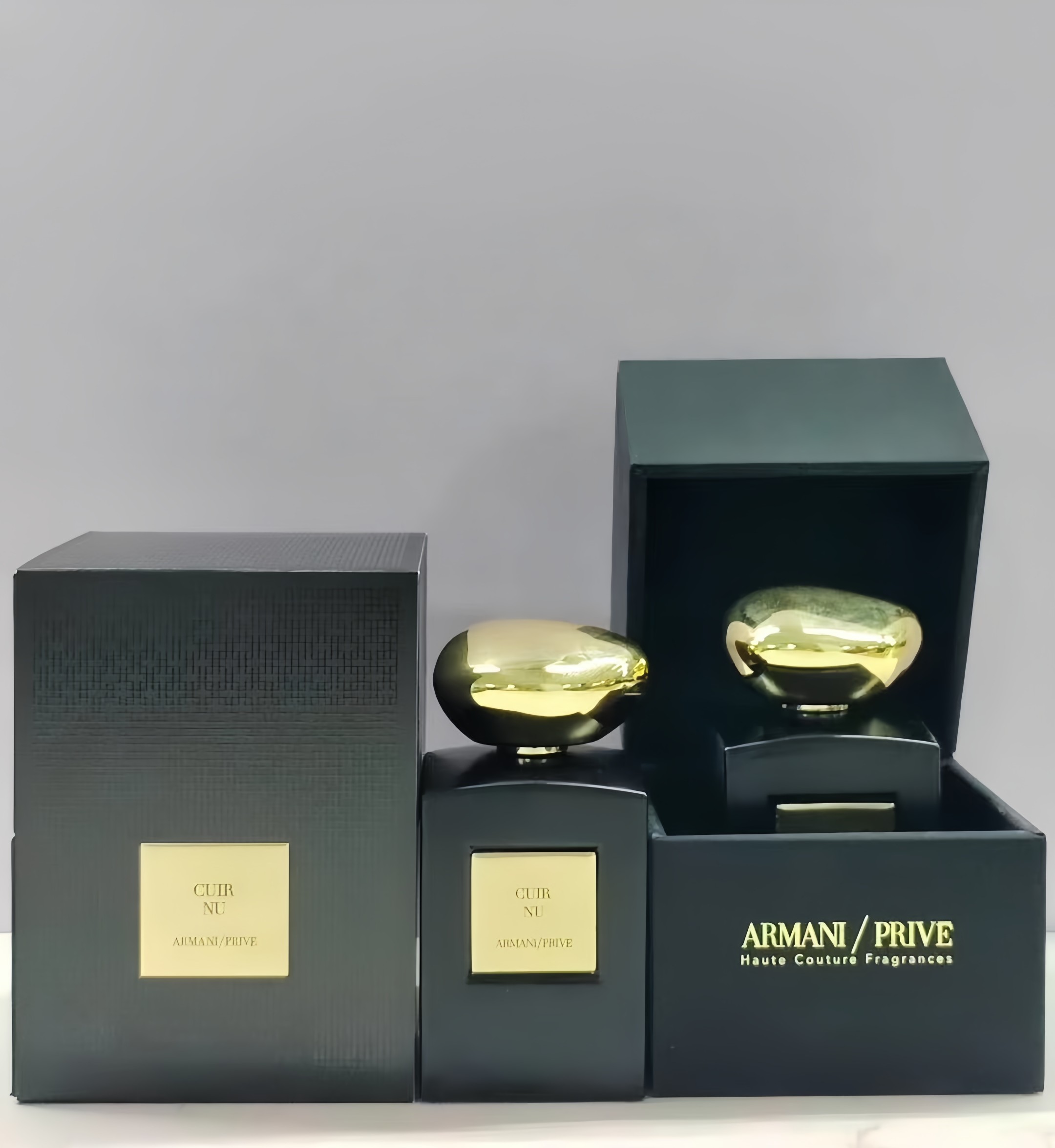 Armani/Privé Cuir Nu